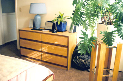 six drawer dresser in maple with walnut